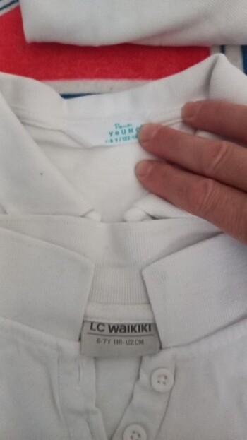 Beyaz lacoste 