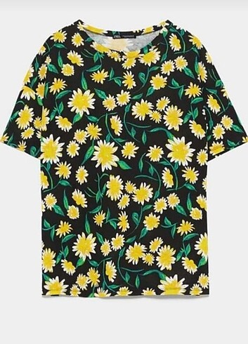 Zara T-shirt 