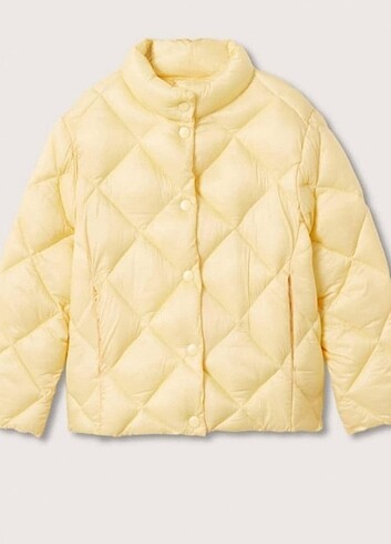 Mango Mont