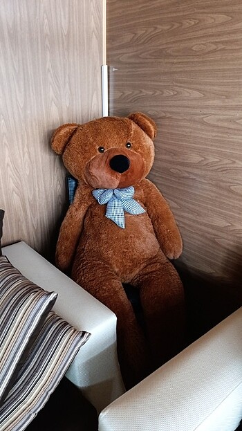Peluş ayı