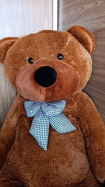  Beden Peluş ayı