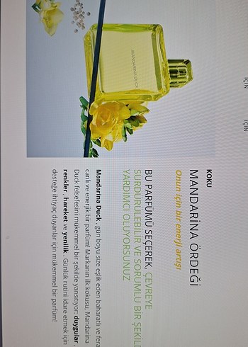 Mandarina Duck Kadın Parfüm 100 ml - Görsel 4