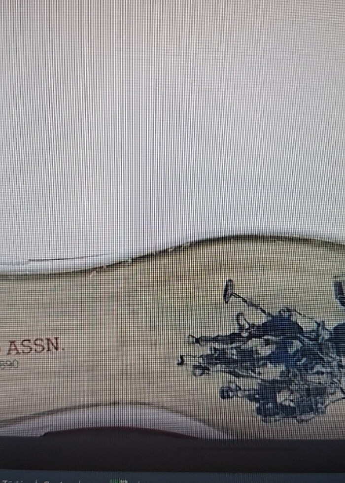 u.s. polo 40 numara - Görsel 4