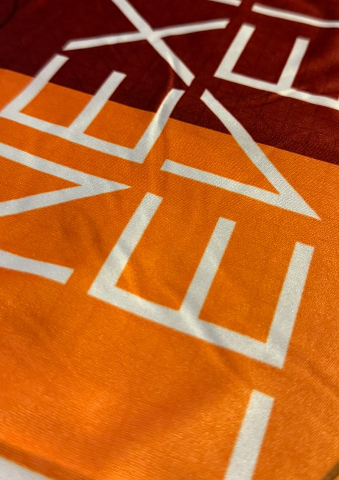 Galatasaray İmzalı Kısa Kollu Forması İç Saha İcardi - Görsel 2