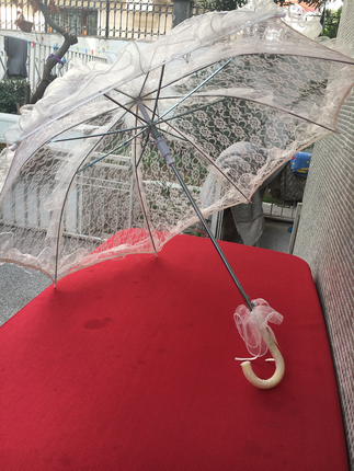 Gelin Şemsiyesi