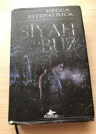 diğer Beden siyah Renk Siyah buz kitap