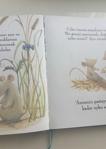 Beden Renk Sevgili Battaniyem Resimli Öyküler Kitabı