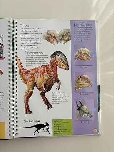 Beden Renk Muhteşem Dinozorlar