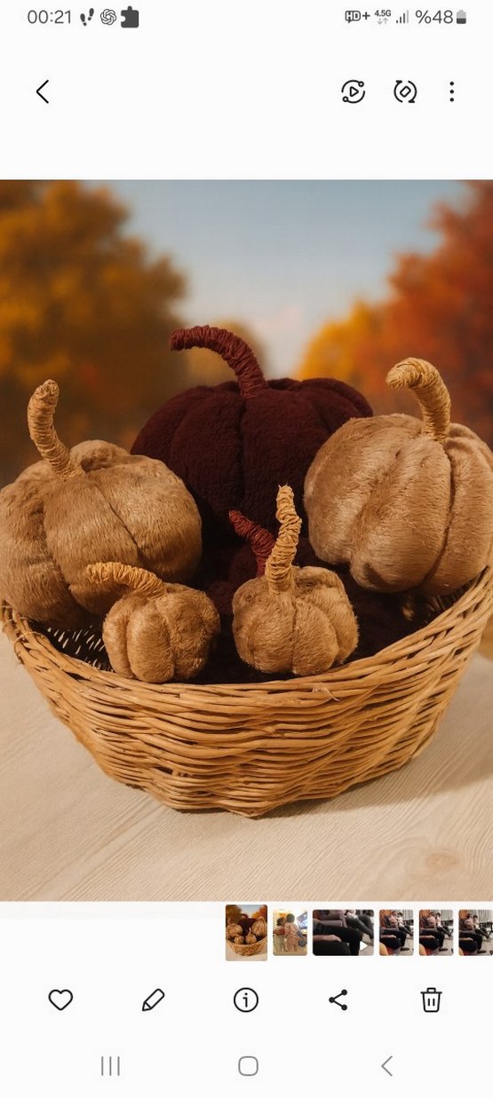 Bordo Kadife Dekoratif Kabak Seti balkabaği kirlent - Görsel 2