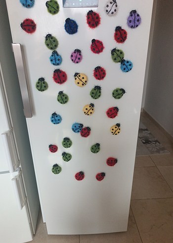 Renkli Uğur Böcegi magnet - Görsel 5