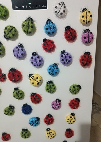 Renkli Uğur Böcegi magnet - Görsel 3