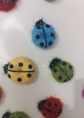 Renkli Uğur Böcegi magnet - Görsel 4