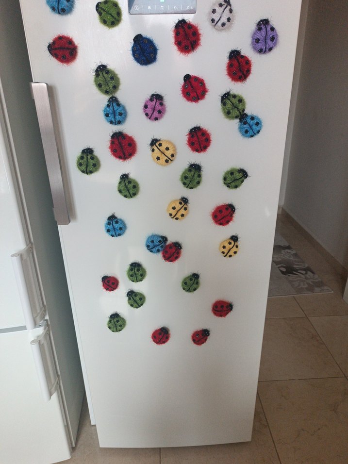 Renkli Uğur Böcegi magnet - Görsel 5