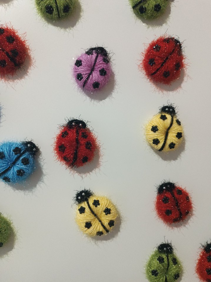 Renkli Uğur Böcegi magnet - Görsel 2