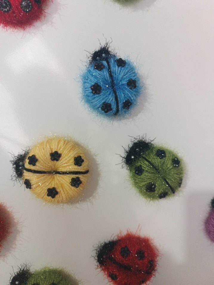 Renkli Uğur Böcegi magnet - Görsel 4