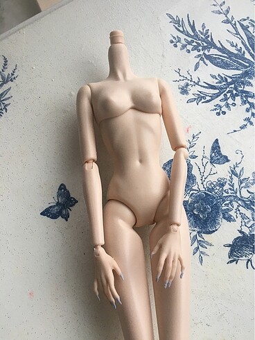 Beden Barbie integrity