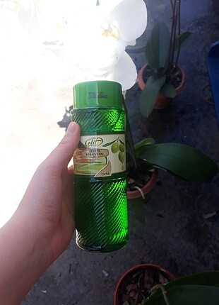 Sıfır zeytin kolonyası
