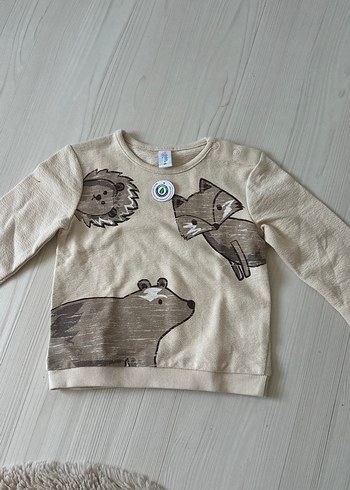 Kahverengi Erkek Çocuk Baskılı Sweatshirt