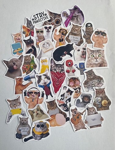 Çılgın kediler sticker set
