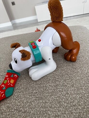 Fisher Price Emeklemeye yardım köpek