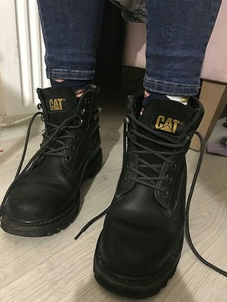 Cat Siyah cat bot