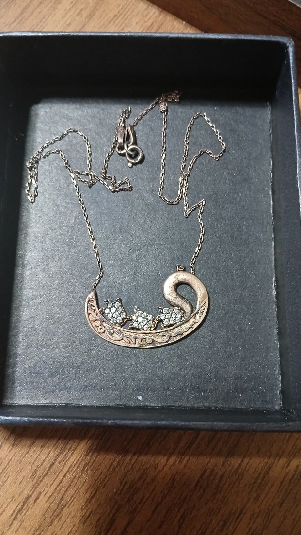 Vintage Yılan Desenli Uzun Zincirli Kadın Kolye - Görsel 5