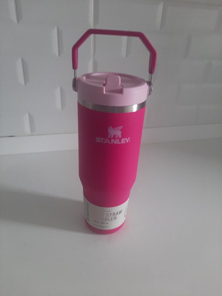 Stanley Pembe Çocuk Termos Şişesi - Görsel 2