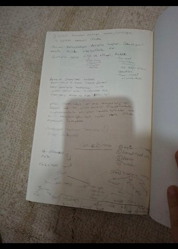 İslam Medeniyeti Tarihi Kitabı - Görsel 2