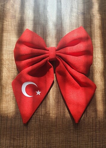 23 Nisan Tokası