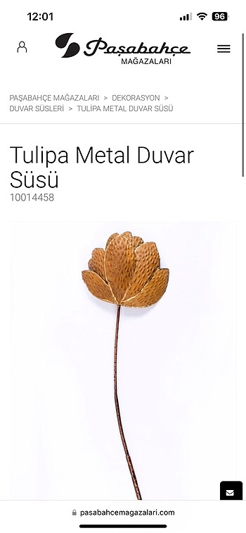Paşabahçe Tulipa Metal Duvar Süsü