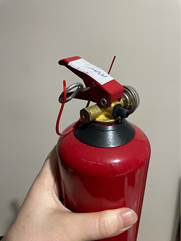 Mavi cinsiyet tüpü - Görsel 3