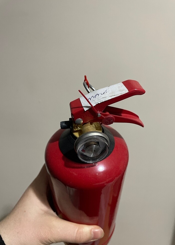 Mavi cinsiyet tüpü - Görsel 2