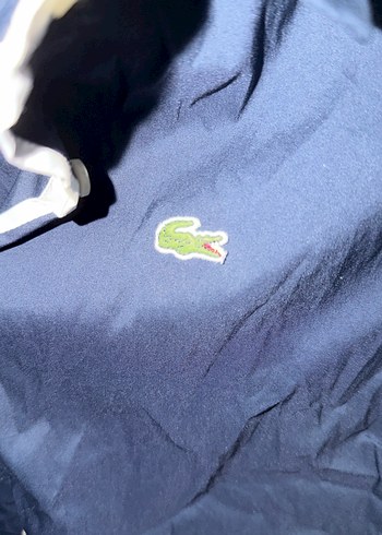 Lacoste Lacivert Kısa Kollu Gömlek - Görsel 2