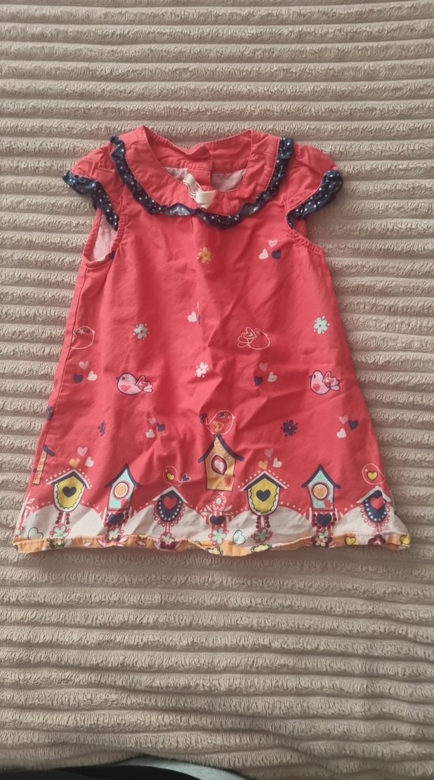 Çok Renkli Nakışlı Kız Elbisesi - Görsel 2