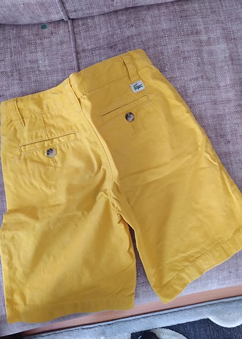 Lacoste Erkek Sarı Pamuklu Şort