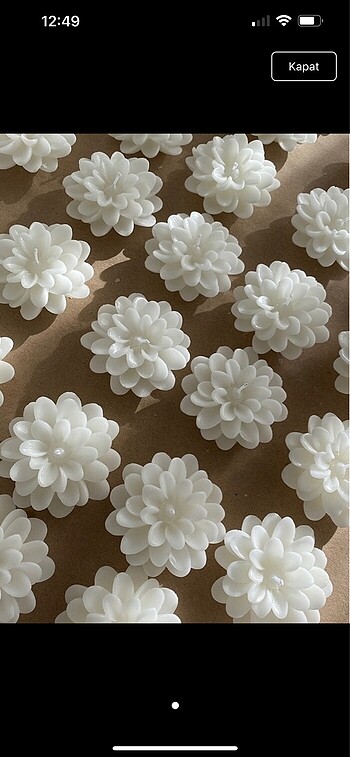 Lotus mum
