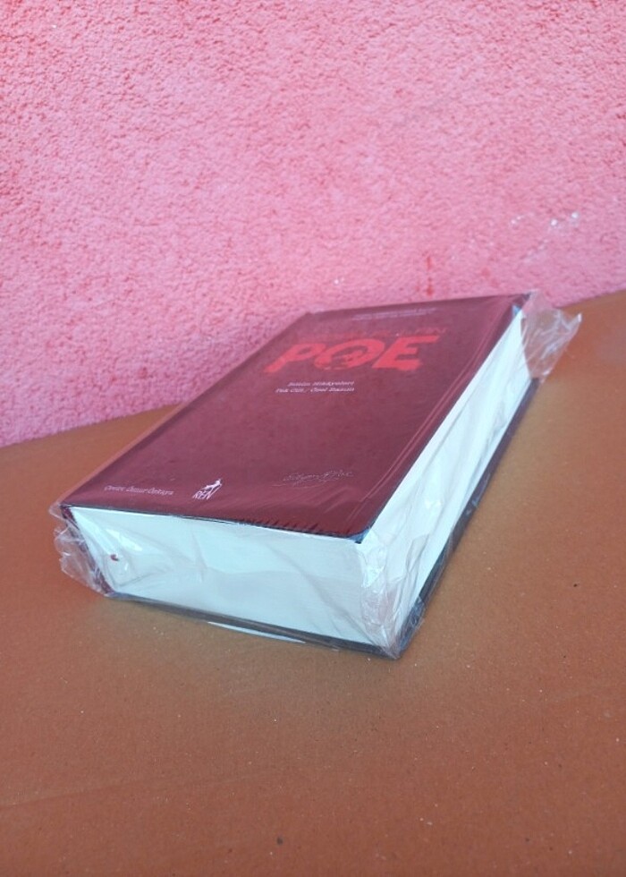 Edgar allan poe bütün hikayeleri  - Görsel 3