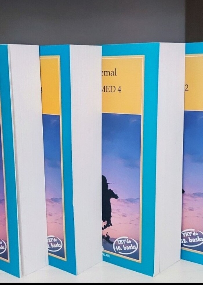 Yaşar Kemal ince memed - Görsel 4