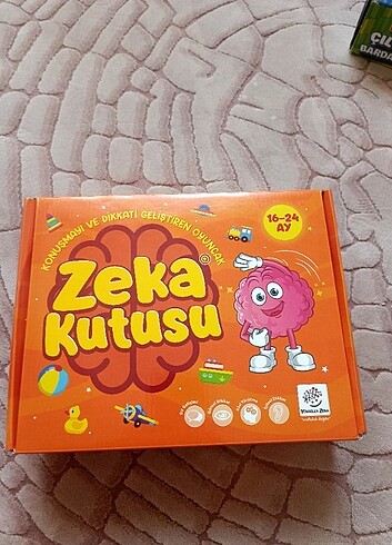 Beden Zeka kutusu 16-24 ay