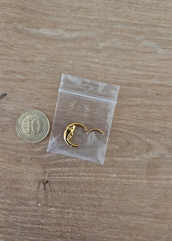 Zara Ay Piercing Küpe