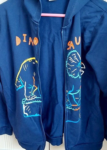 Erkek Çocuk Renkli Dinozor Baskılı Kapüşonlu Sweatshirt - Görsel 2