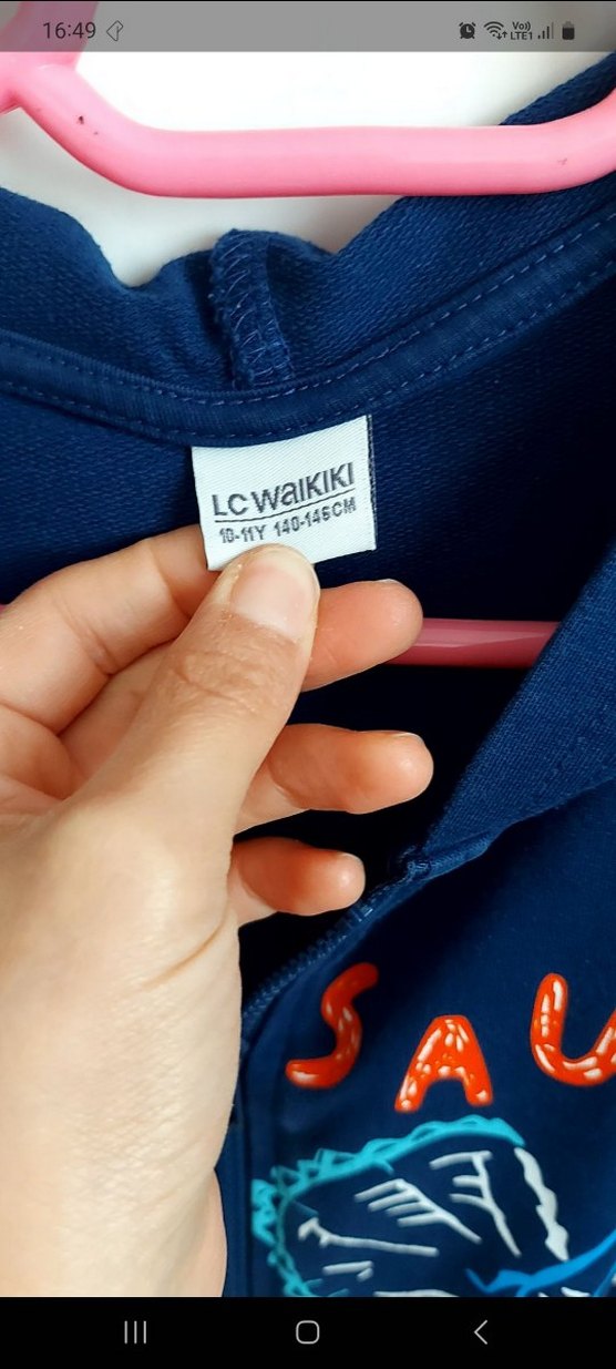 Erkek Çocuk Renkli Dinozor Baskılı Kapüşonlu Sweatshirt - Görsel 4