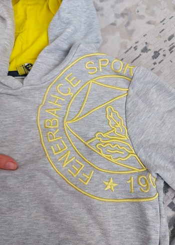 fenerbahce Gri Kapüşonlu Erkek Sweatshirt - Görsel 2