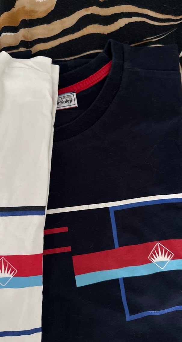 Bahçeşehir koleji thsirt - Görsel 3