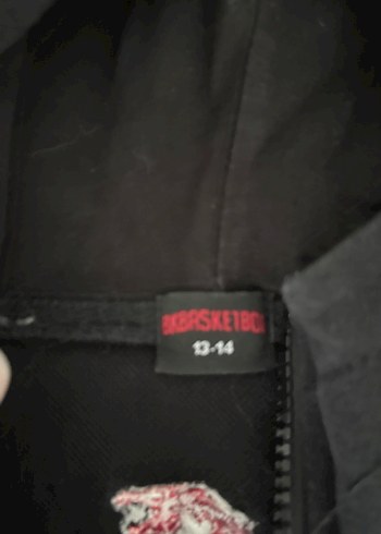 Bahçeşehir basketbol Baskılı Fermuarlı Erkek Çocuk Ceket - Görsel 2