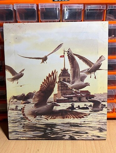 Martı ışıklı tablo 25x30