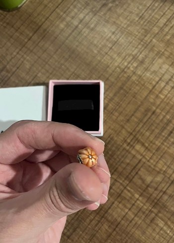 Orijinal Pandora Kabak Charm - Görsel 4