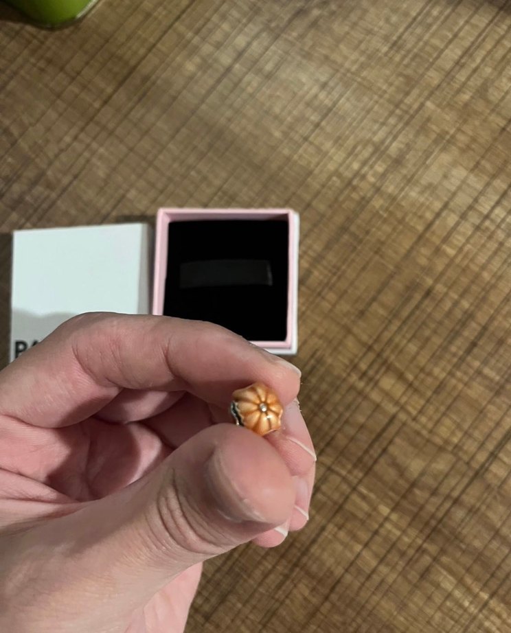 Orijinal Pandora Kabak Charm - Görsel 4