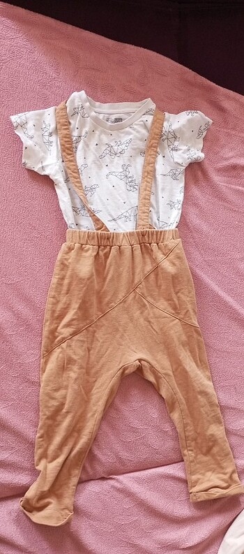 Takım bebek