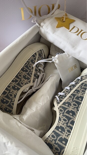 dior sneaker